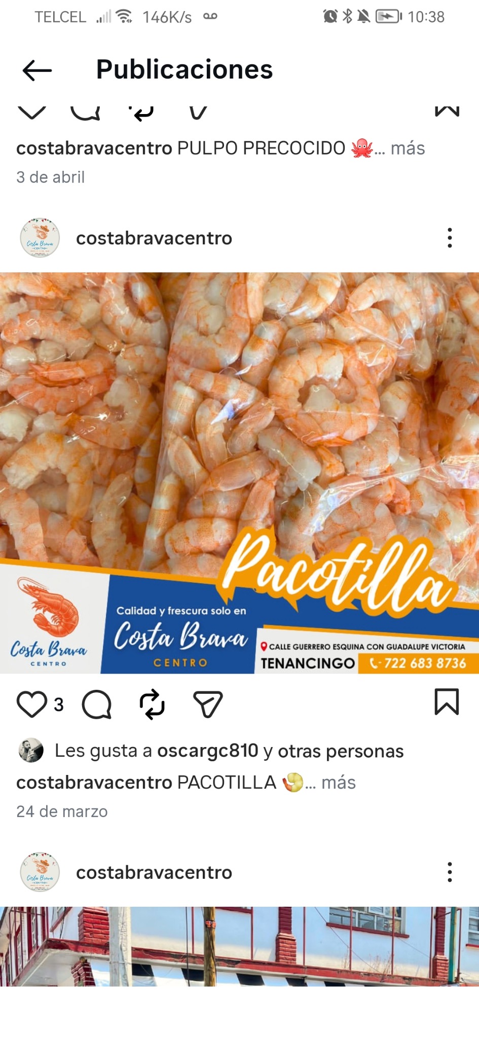 Camarón pacotilla de Costa Brava Centro