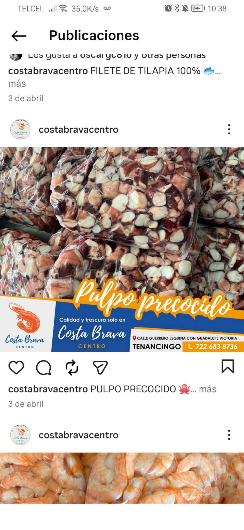 Pulpo precocido